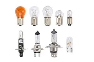 Bulbs